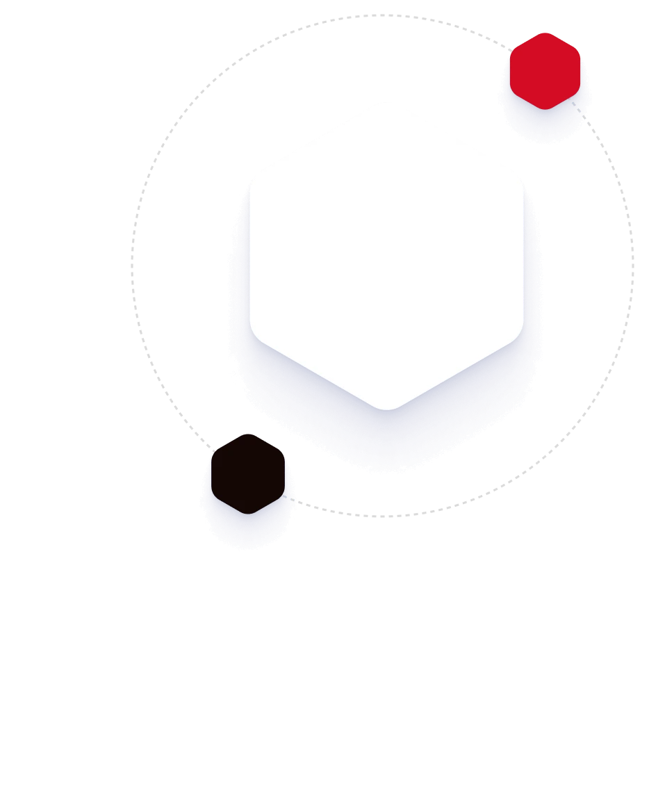 Promat BD Services - Hexagon